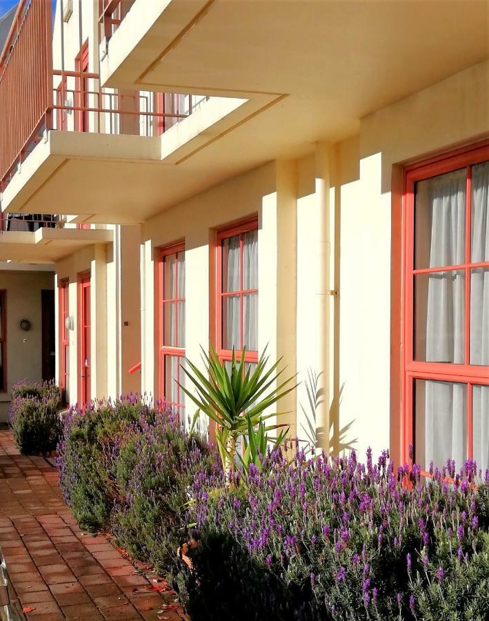 Addington Stadium Motel Κράισττσερτς Εξωτερικό φωτογραφία